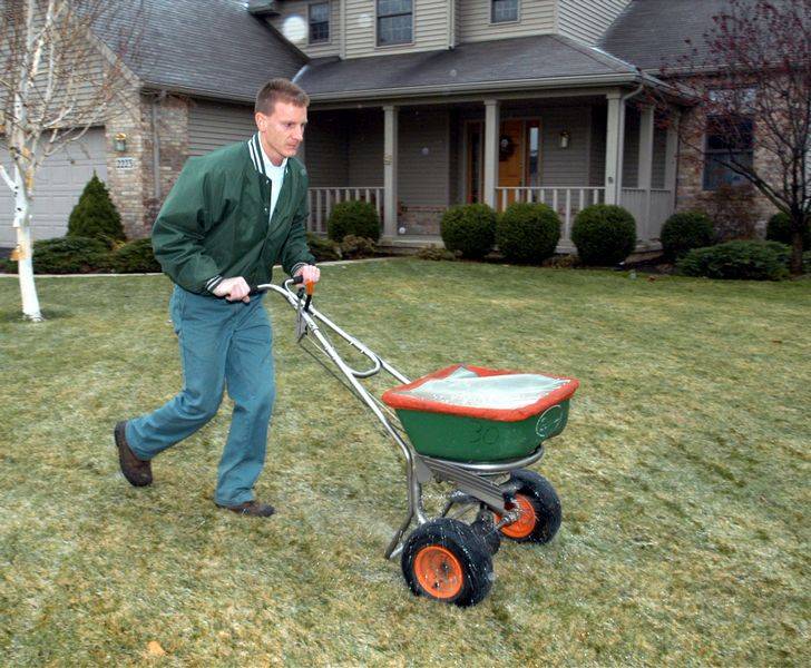 Fertilize now for a healthy lawn in spring - The Blade