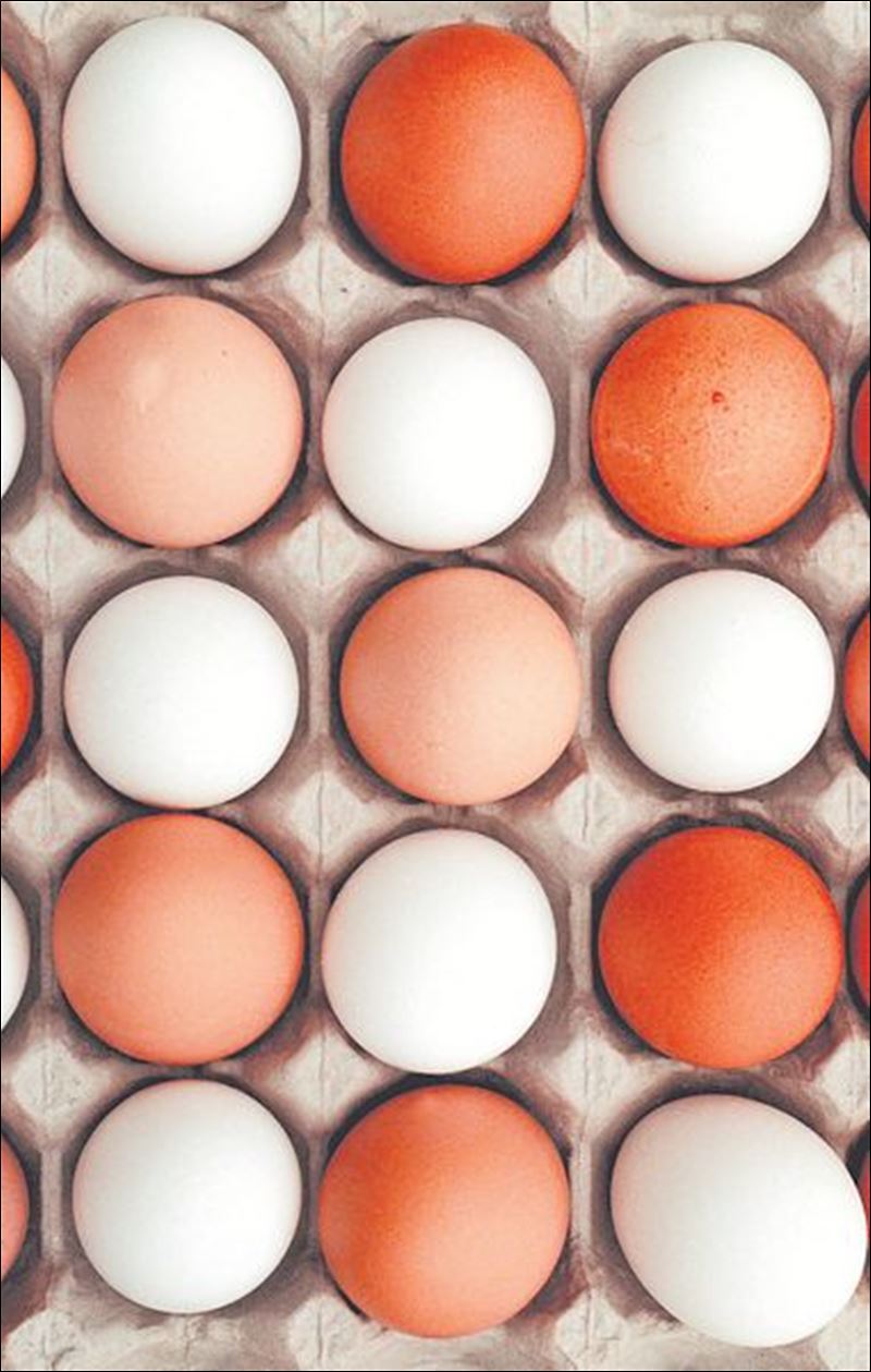 it-shouldn-t-take-too-long-to-unscramble-the-symbolic-meaning-of-eggs