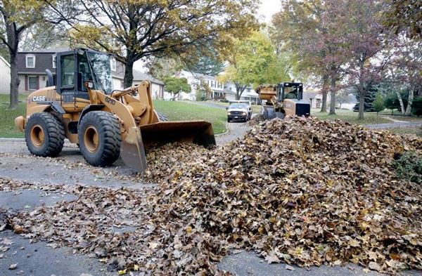 Slow leaf pickup worrisome for Toledo - The Blade