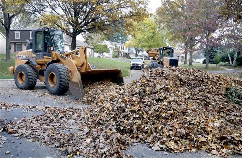 Slow leaf pickup worrisome for Toledo - Toledo Blade