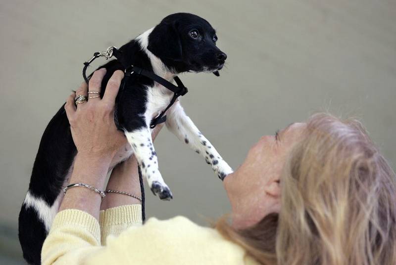 Perrysburg Township couples concern for animals went too far, w