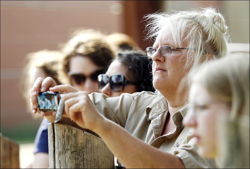 Zoo Visitors