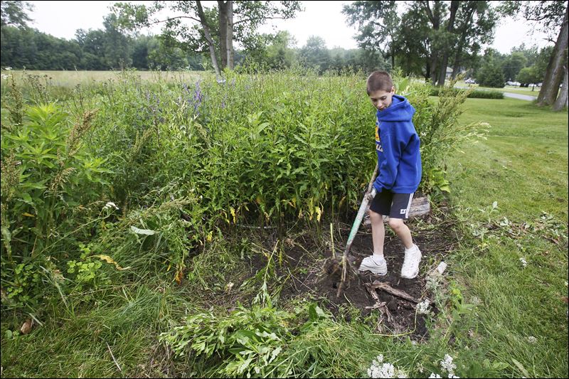 digging a garden