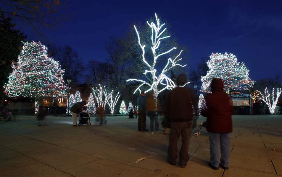 Lights Before Christmas lights up Toledo Zoo The Blade