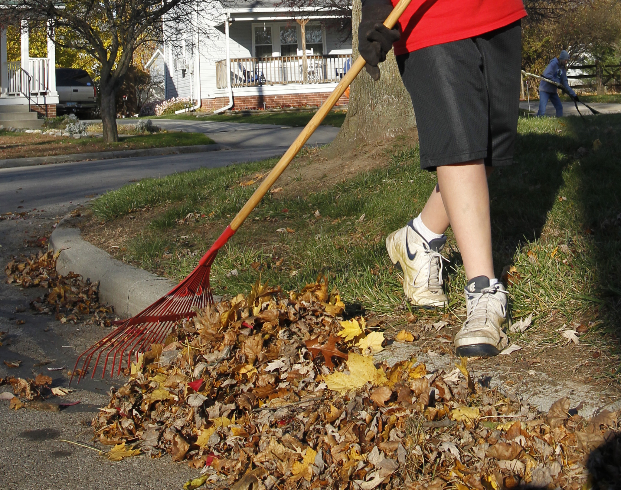 Perrysburg leaf pickup to begin Oct. 17 The Blade