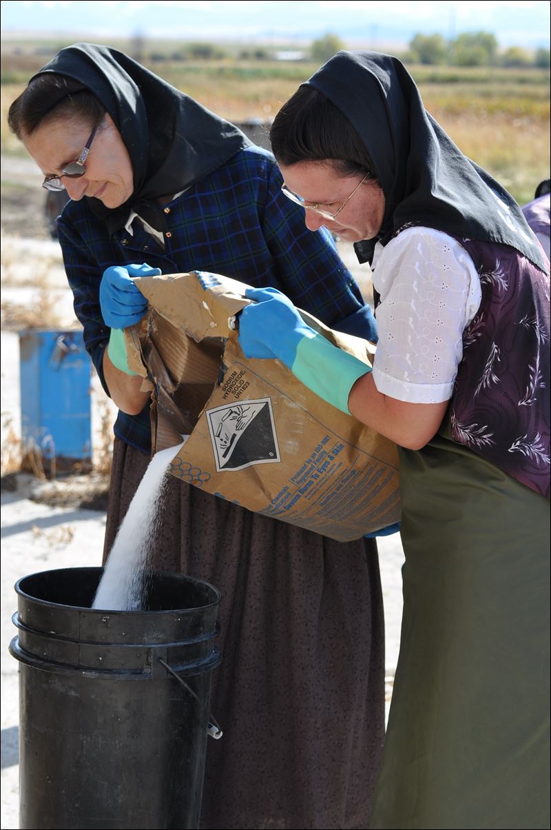 Pictures Of Hutterites