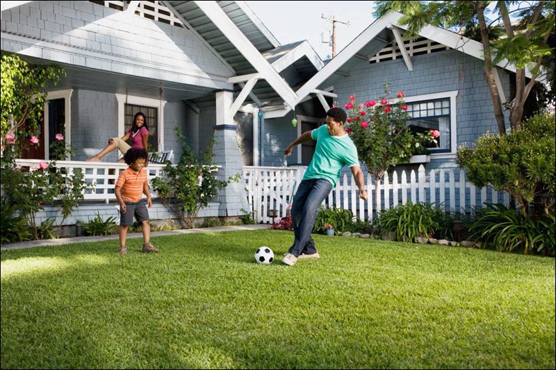 http://www.toledoblade.com/image/2012/06/01/800x_b1_cCM_z/06-01-Five-tips-for-creating-a-stadium-style-lawn-in-your-own-backyard1-jpg.jpg