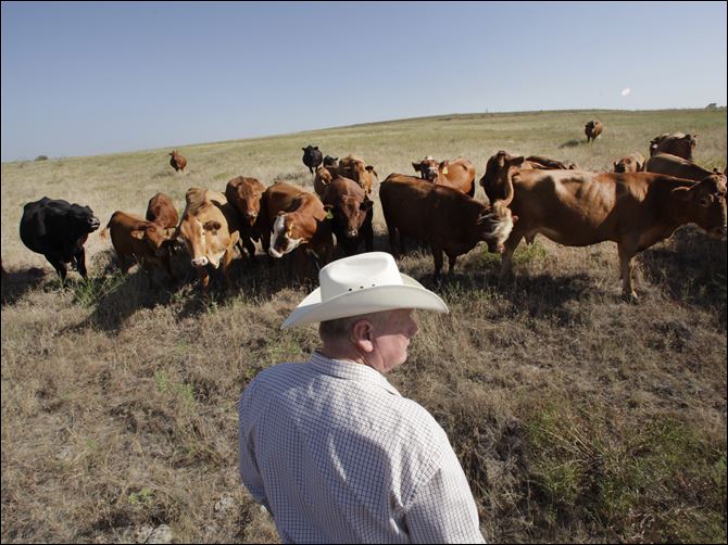 Livestock Ranching