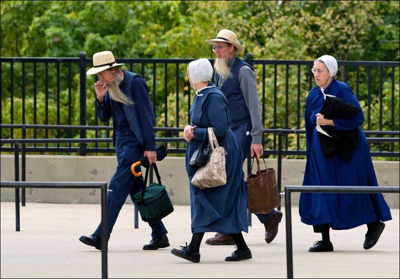 The Amish Community