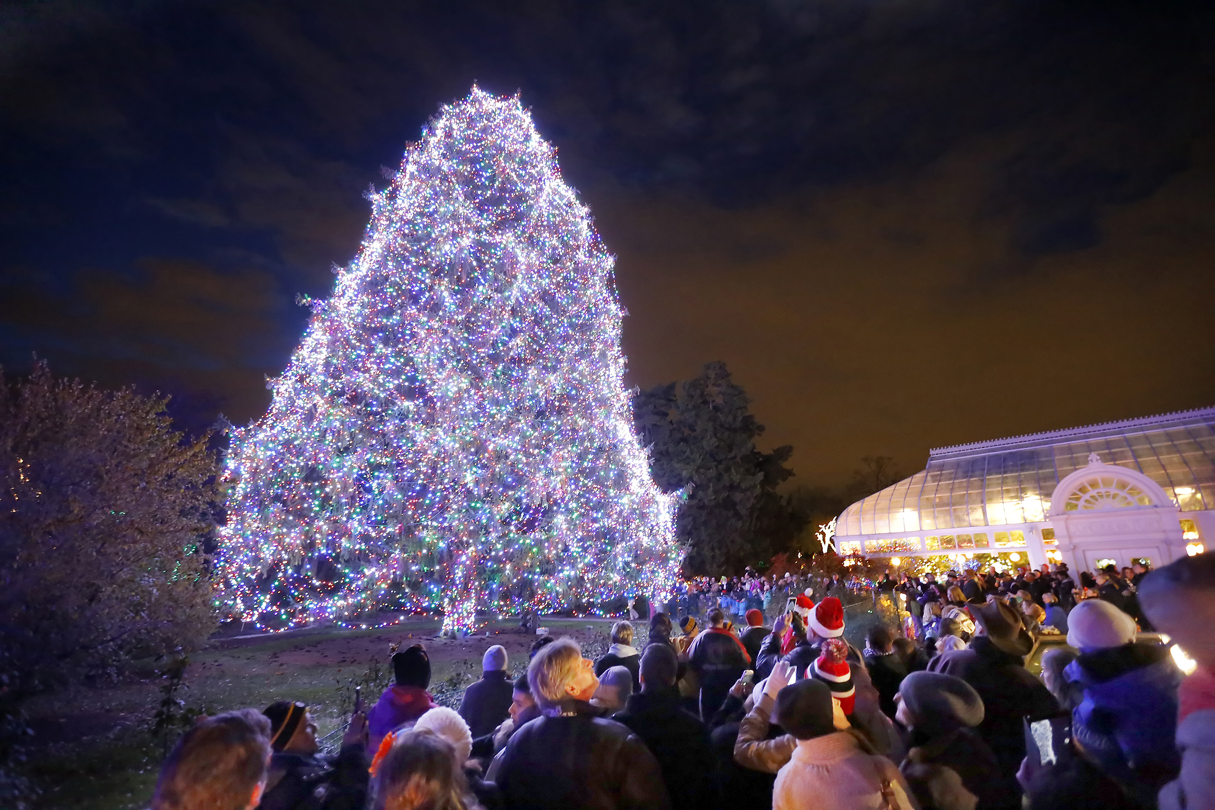 Let the lights shine with Lights Before Christmas at Toledo Zoo The Blade