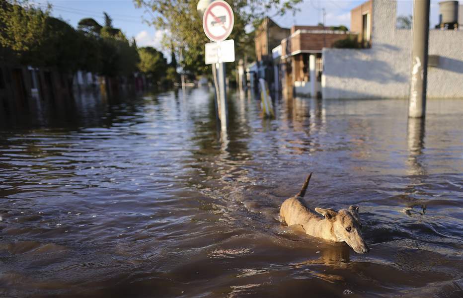 12 people killed, thousands evacuated in Argentine flooding The Blade