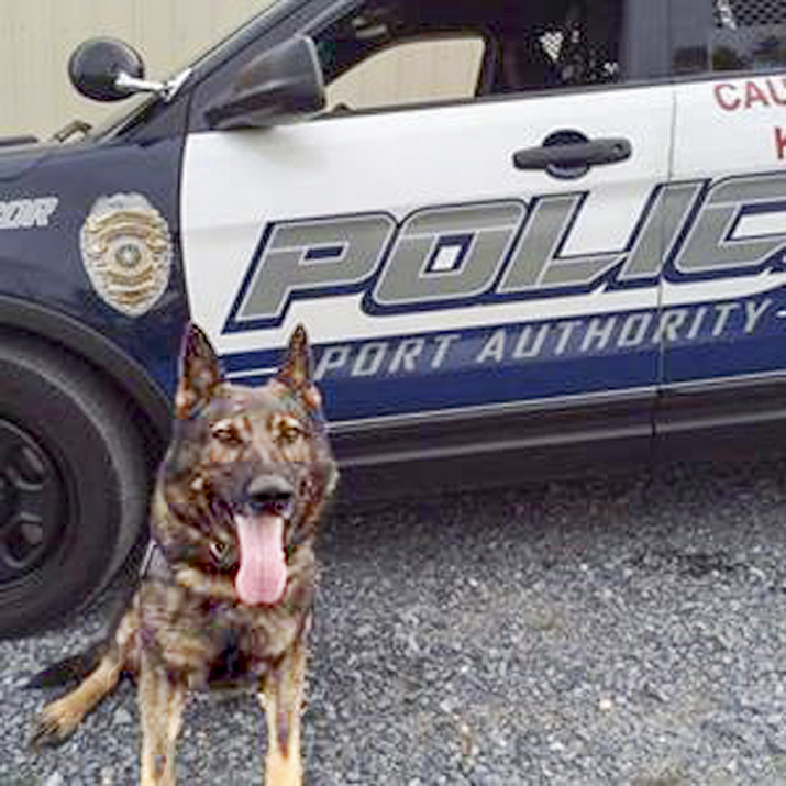 Man Who Killed Police Dog Had Criminal History - The Blade