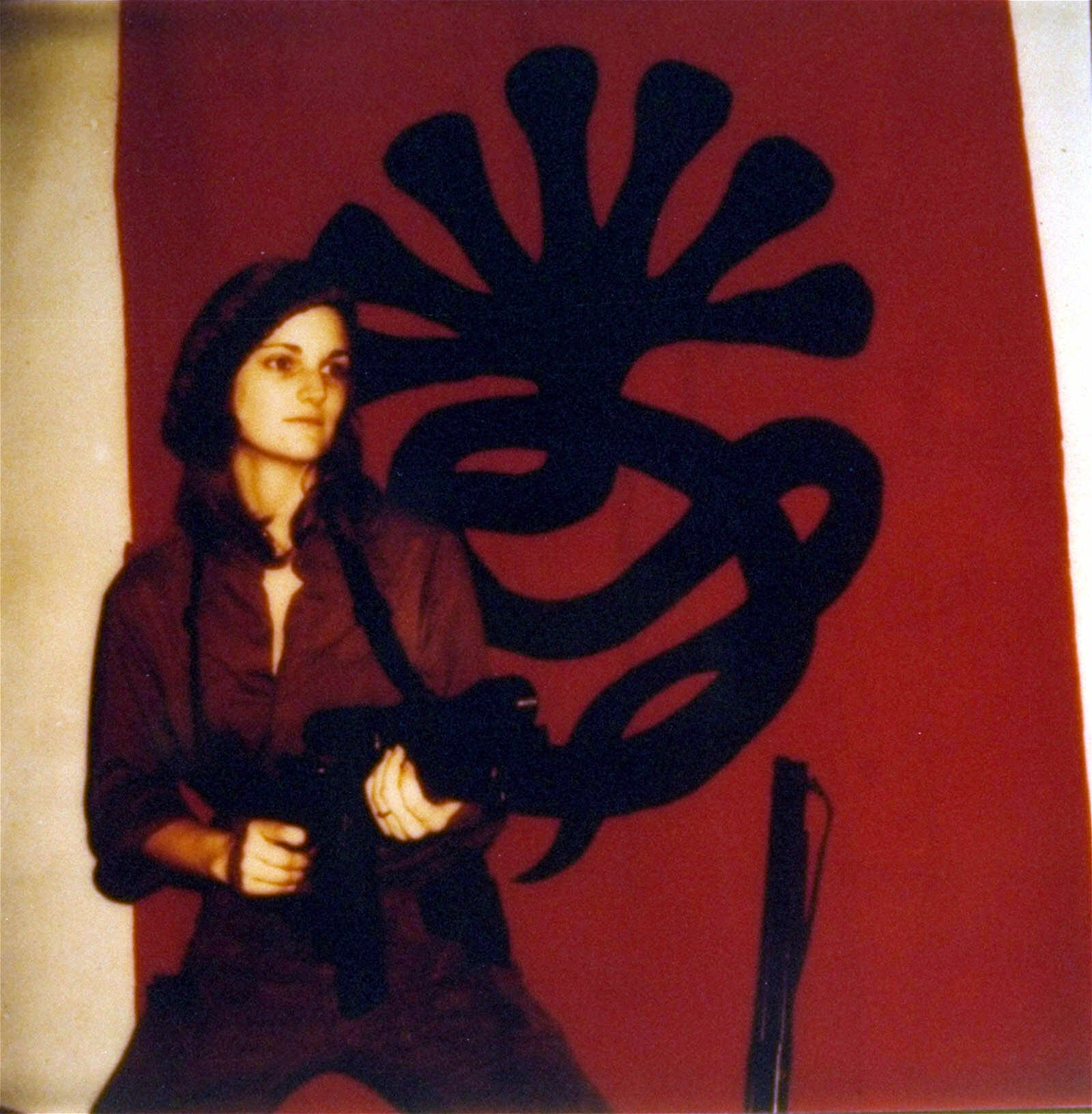 In ‘american Heiress Patty Hearst Case Evokes The Dark Side Of The 70s The Blade