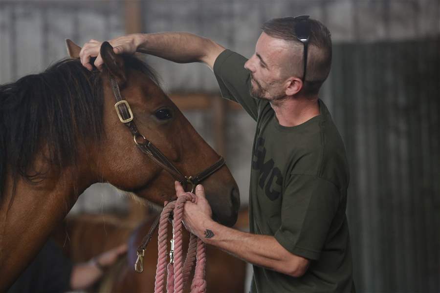 Veterans retake the reins with therapy horses The Blade