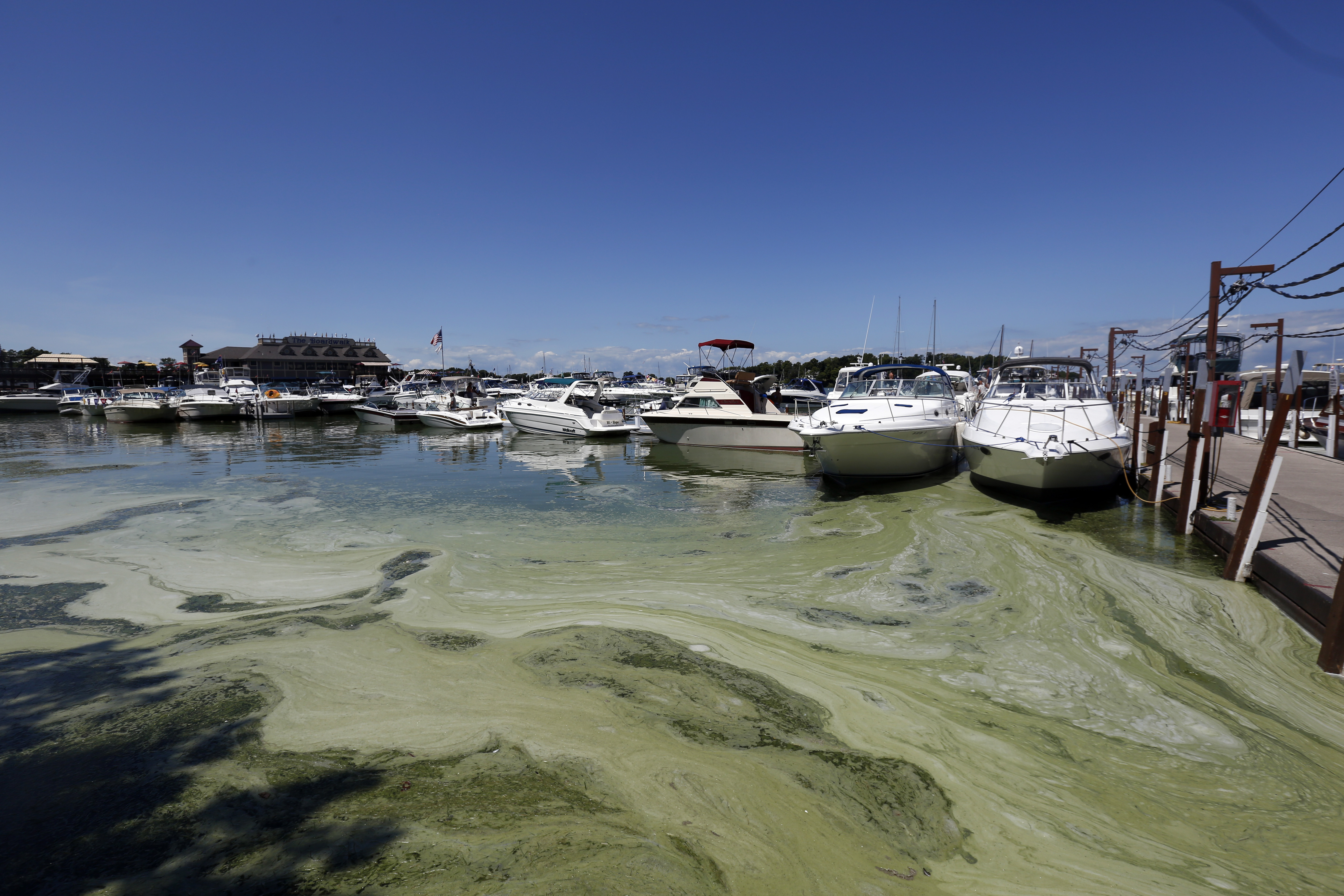 Michigan plan seeks less pollution causing Lake Erie algae The Blade