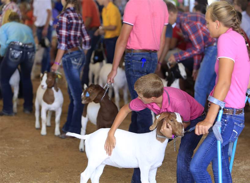 GALLERY Wood County Fair begins in Bowling Green The Blade