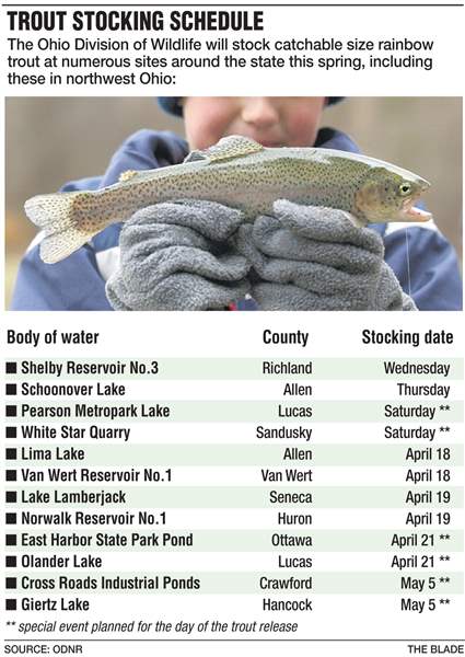 Anglers chasing rainbows as trout stocking program continues - The Blade