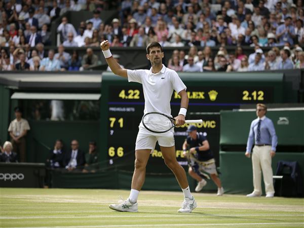 Djokovic beats Federer to take Wimbledon title