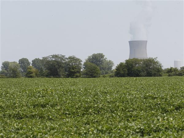 Vote advances on nuclear plant rescue