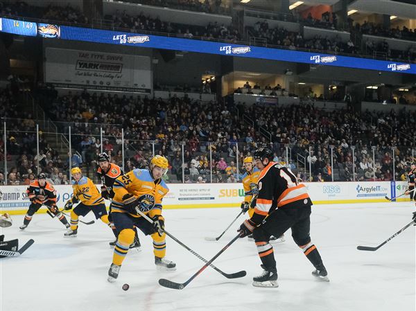 Walleye Watch: Toledo to open homestand against rival Fort Wayne