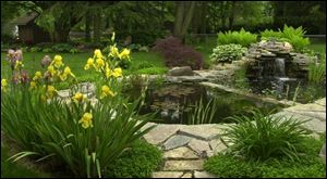 A 3,000-gallon friendship pond is the focus in the backyard of Susan and Michael Smith.