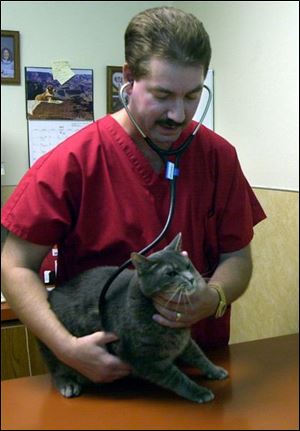 Dr. Steve Graber examines Merlin. The doctor and his sister, Cathy, run the business started by their father.