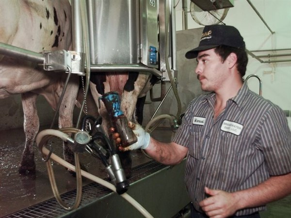 Largest Dairy Farm In Arizona