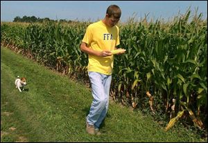 Nathan Baker inspects the corn crop at his Williams County field near the Ohio-Michigan border as his dog Buck follows.