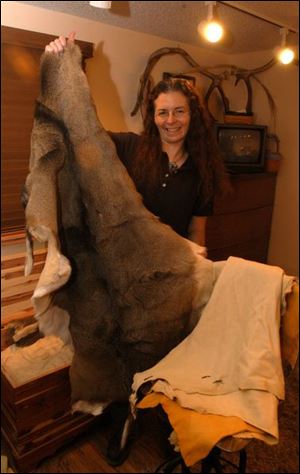 Taxidermist Jill Jurgess displays her deer pelts. She has been on the road-kill call list since 1989.