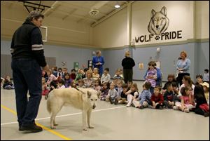 Former Iditarod musher Dewey Halverson and Chinook entertain students at Sylvania Franciscan Academy.