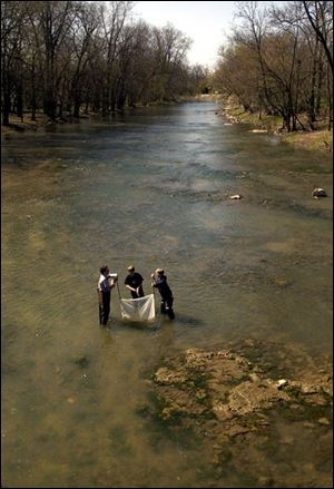 Clay Rolf, left, Greg Zink, and David Dennis, all 13, collect specimens they will identify.