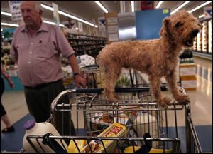 Dana Fouchi and his dog, Baby Boy, shop for groceries at Breaux Mart in Metairie, La. The family owned grocery reopened on Friday, a sign of life in an area ravaged by Hurricane Katrina.