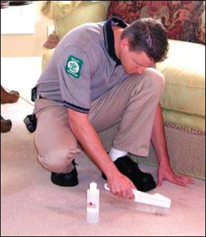 A certified professional is trained to follow proper cleaning techniques that can bring your carpet back to life.