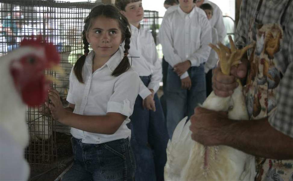 Large-crowd-helps-start-Lucas-County-Fair