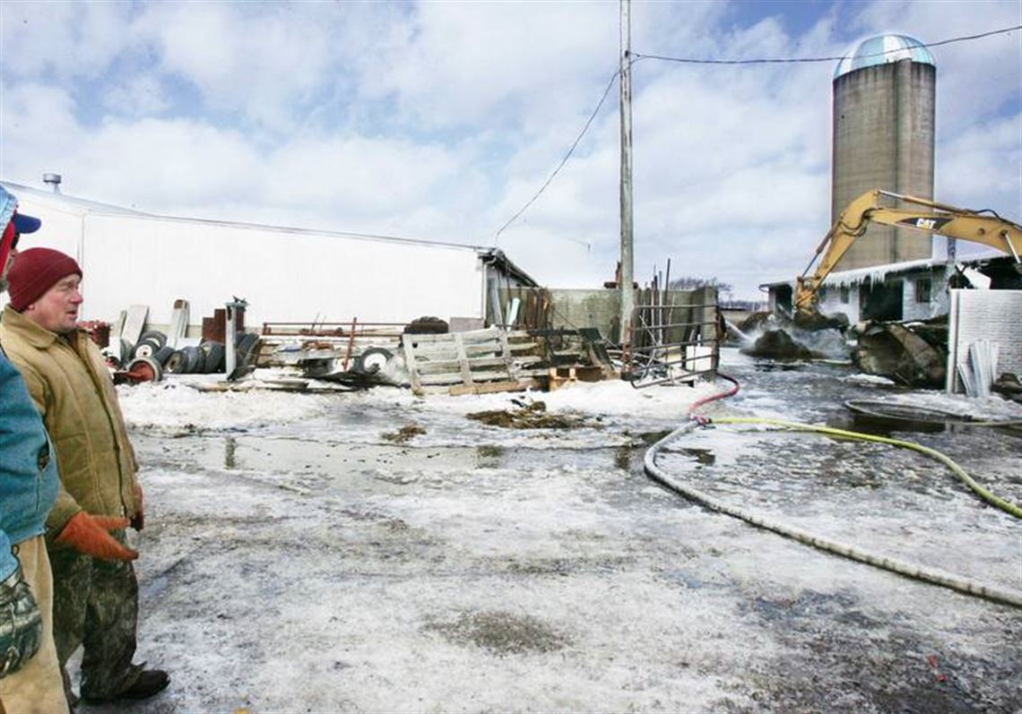 Dairy Barn And Up To 40 Calves Are Lost In Blaze Near Sandusky