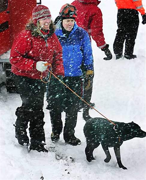 Climbers-leave-Mount-Hood-rescuer-credits-black-Lab-with-saving-their-lives