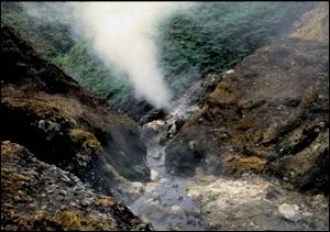 Bacteria from this volcanic spring in Indonesia is to be studied by Bowling Green State University and 11 other schools in a U.S. Department of Energy Joint Genome Institute project.