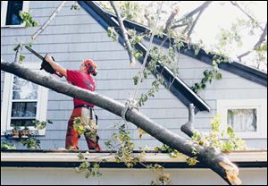 Matt DeWitt removes limbs from a Toledo home.