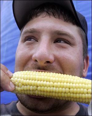 NBRN petersburg24p  07/19/2008  Blade Photo/Lori King  Petersburg resident Aaron Myschock appraises freshly-picked corn (6 a.m. this morning) that's being sold for $3 per dozen, during Petersburg Community Days in Petersburg, Mich.