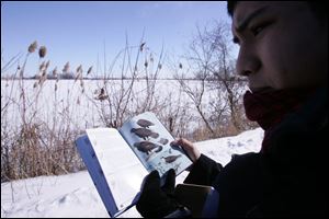 Mark Yappueying studies a bird field guide. 