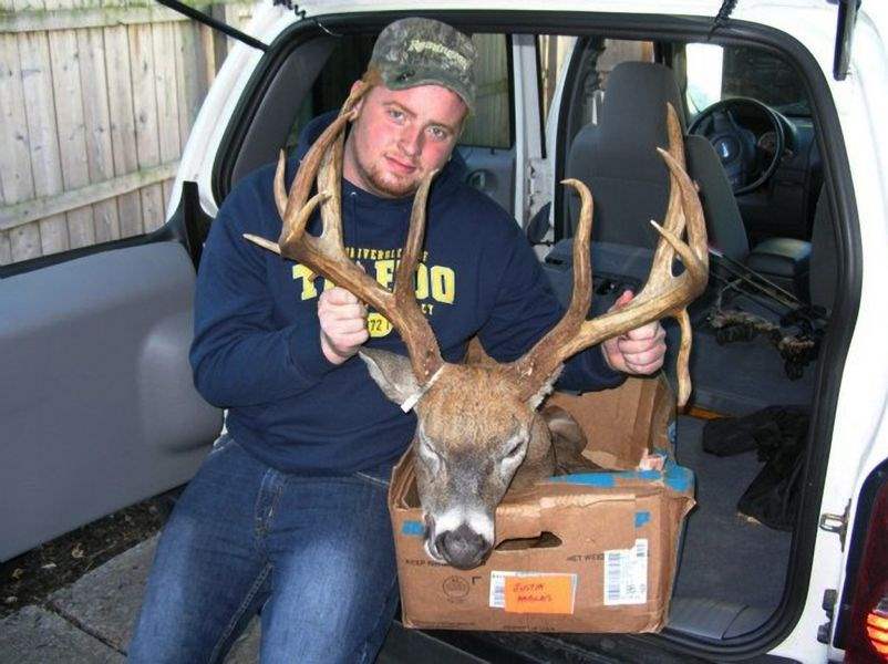 2-deer-poachers-get-record-13-277-fine