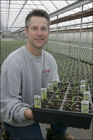 Mark Hecklinger holds some pepper plants.