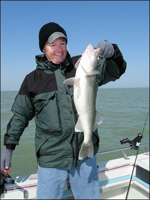 spt POLLICK WALLEYE    received 05/06/2009   handout photo   ***   NOT BLADE PHOTO      Port Clinton angler Steve Hathaway hefts a chunky tough-to-come-by Lake Erie walleye he landed on a jig-and-minnow trip this week.  s6 s6hath bw 3.94