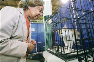 Oreda Bufkin of Toledo admires Jinxie, offered by the Toledo Area Humane Society for adoption, at the Spring Fling. Thousands of seniors attended the event presented by the Area Office on Aging of Northwestern Ohio and The Blade.