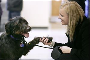 DaVinci, a 10-month-old Labradoodle, is congratulated by its owner, Teresa Everett of Toledo, after winning the Pick of the Litter photo contest. The winner, announced Tuesday at the Lucas County Dog Warden's Office by county Auditor Anita Lopez, gets the No. 1 dogtag for 2010, its photo on dogtag renewal forms, and a gift basket courtesy of Total Pet Care Services.