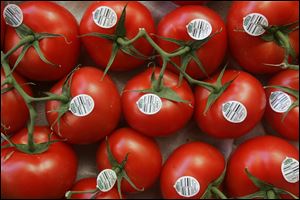 Sam Okun Produce, a Toledo wholesaler that supplies hundreds of stores and restaurants, is paying about double the normal price for tomatoes like these. 