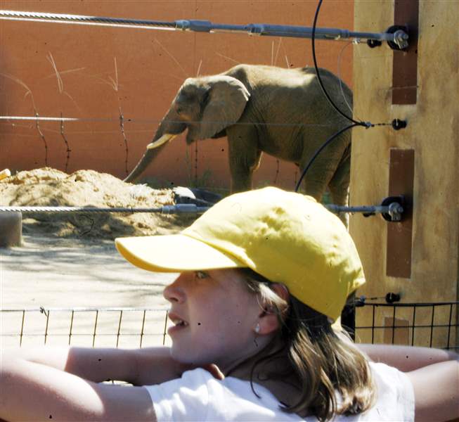 Injured zookeeper violated protocol - The Blade