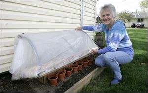 Biddle uses a simple cold frame to protect plants in cold weather.