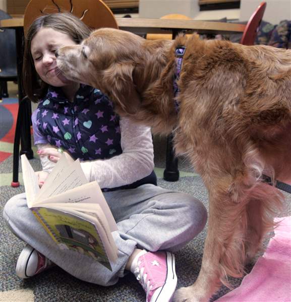 Bedford-library-s-8216-paws-on-firm-footing