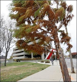 Eddye Vega fights wind on Summit Street in downtown Toledo. Damage in the region yesterday was scattered, including a tornado in Van Wert, Ohio. 